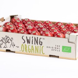 Swing Organic